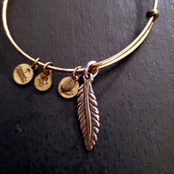 2 Alex & Ani Adjustable bracelets Silver & Gold - Picture 6 of 6